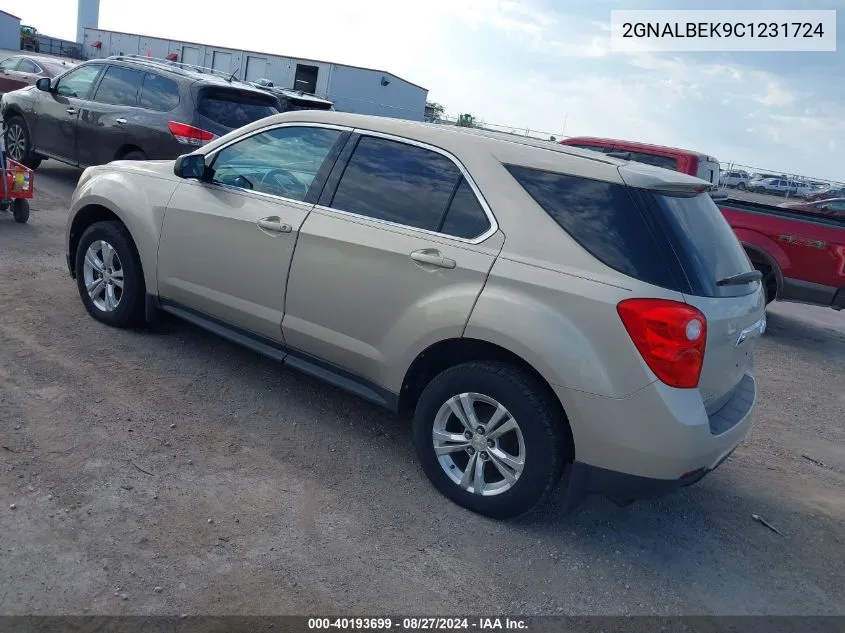 2012 Chevrolet Equinox Ls VIN: 2GNALBEK9C1231724 Lot: 40193699