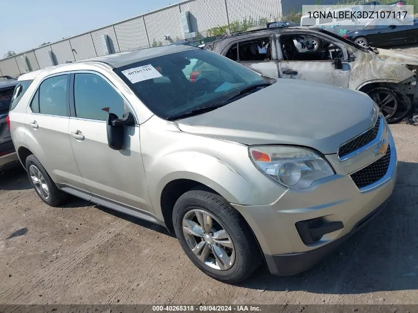 2013 Chevrolet Equinox Ls VIN: 1GNALBEK3DZ107117 Lot: 40265318