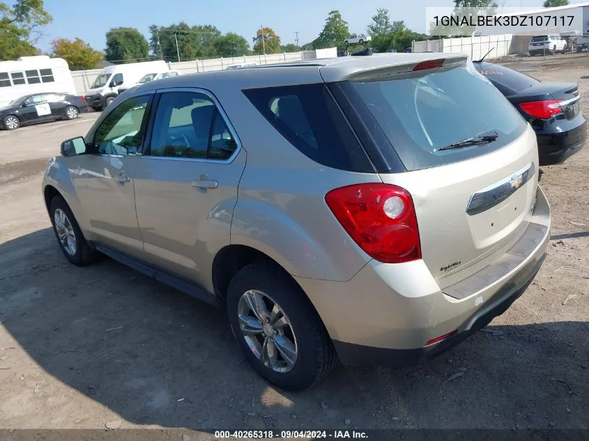 2013 Chevrolet Equinox Ls VIN: 1GNALBEK3DZ107117 Lot: 40265318