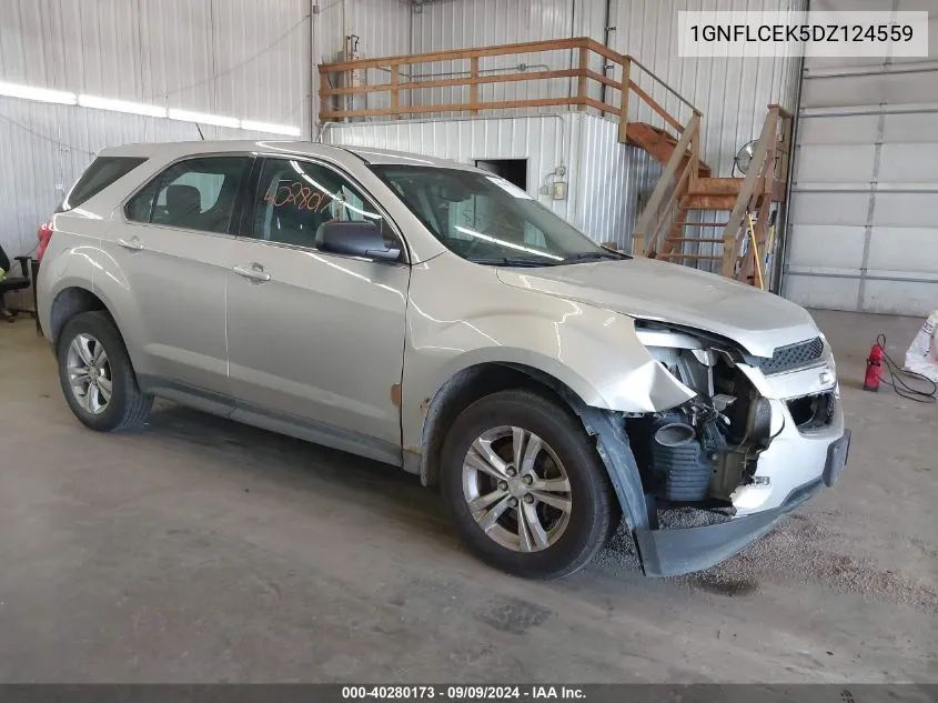 2013 Chevrolet Equinox Ls VIN: 1GNFLCEK5DZ124559 Lot: 40280173