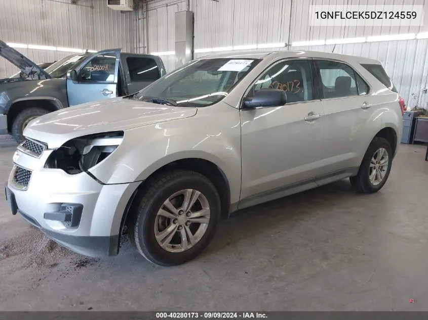 1GNFLCEK5DZ124559 2013 Chevrolet Equinox Ls