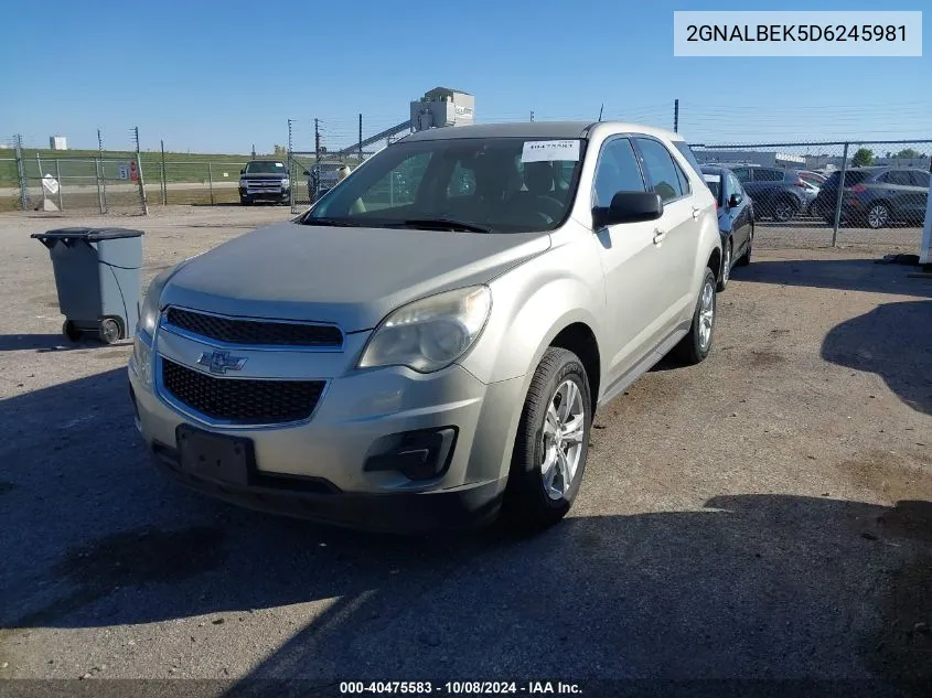 2013 Chevrolet Equinox Ls VIN: 2GNALBEK5D6245981 Lot: 40475583