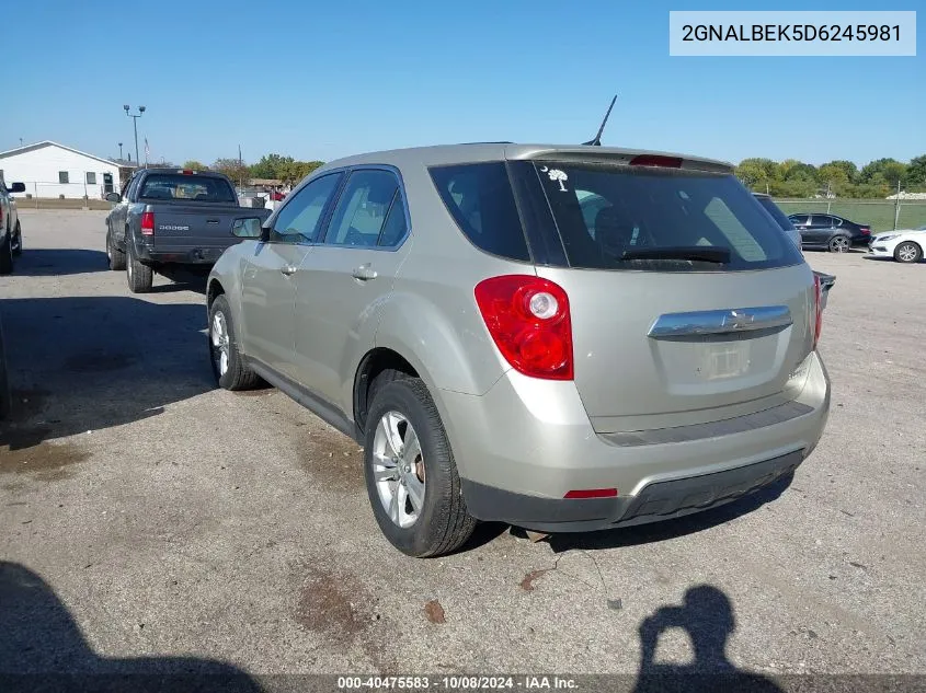 2GNALBEK5D6245981 2013 Chevrolet Equinox Ls