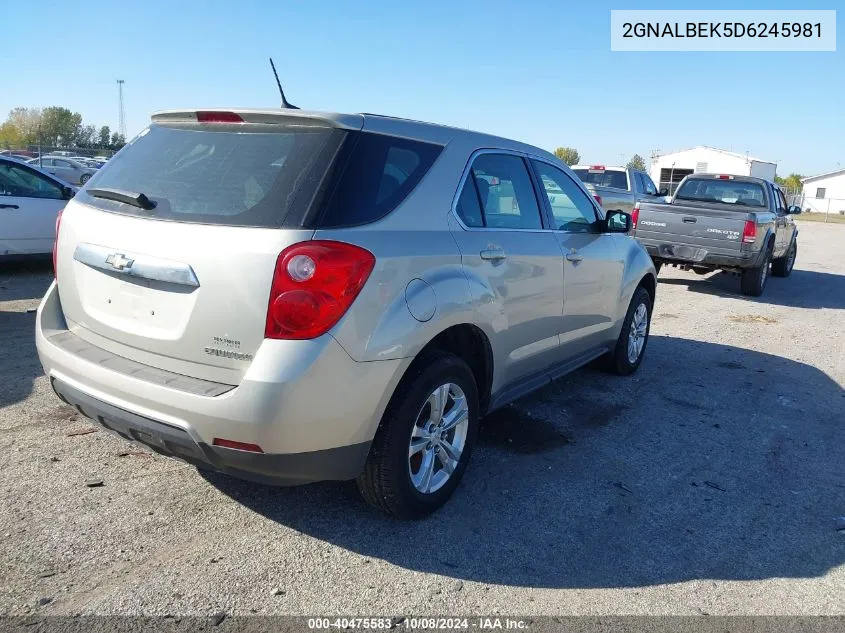 2013 Chevrolet Equinox Ls VIN: 2GNALBEK5D6245981 Lot: 40475583