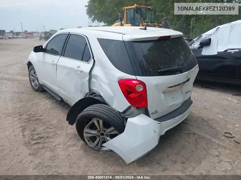 2014 Chevrolet Equinox Ls VIN: 1GNALAEK8EZ120389 Lot: 40001814