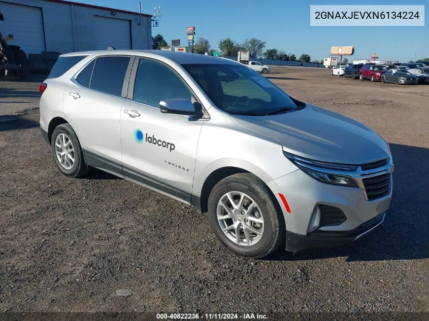 2022 Chevrolet Equinox Fwd 2Fl VIN: 2GNAXJEVXN6134224 Lot: 40822236