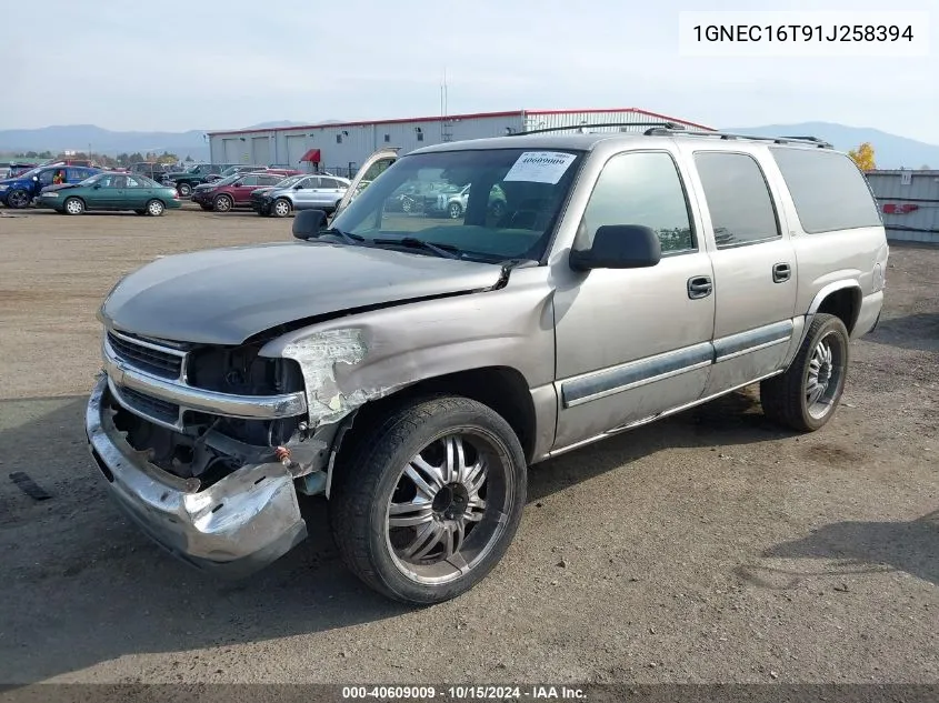 2001 Chevrolet Suburban 1500 Ls VIN: 1GNEC16T91J258394 Lot: 40609009