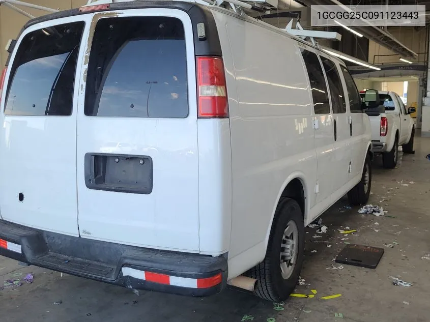 1GCGG25C091123443 2009 Chevrolet Express 2500 Work Van