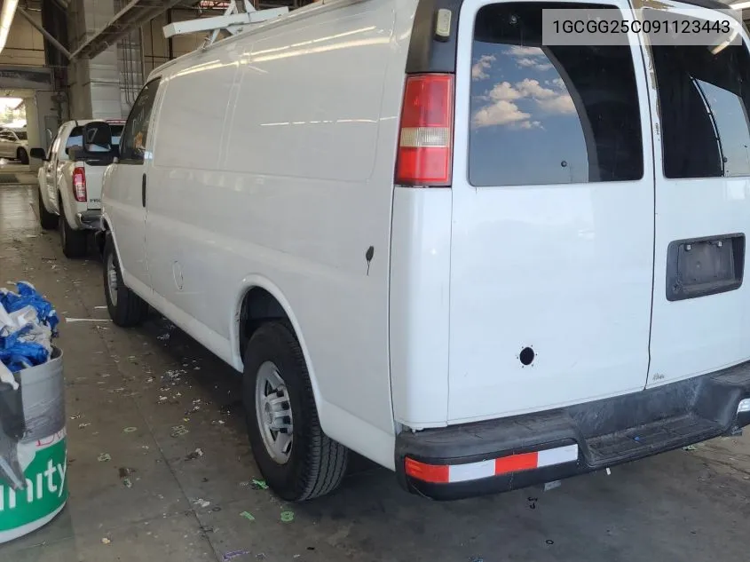 1GCGG25C091123443 2009 Chevrolet Express 2500 Work Van