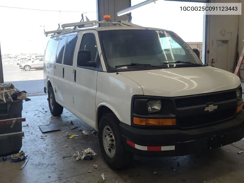 2009 Chevrolet Express 2500 Work Van VIN: 1GCGG25C091123443 Lot: 40574184