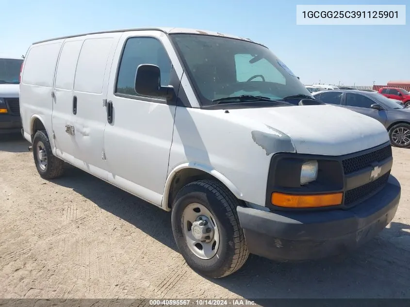 2009 Chevrolet Express 2500 Work Van VIN: 1GCGG25C391125901 Lot: 40595567