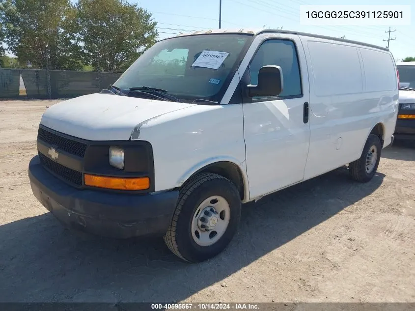 2009 Chevrolet Express 2500 Work Van VIN: 1GCGG25C391125901 Lot: 40595567