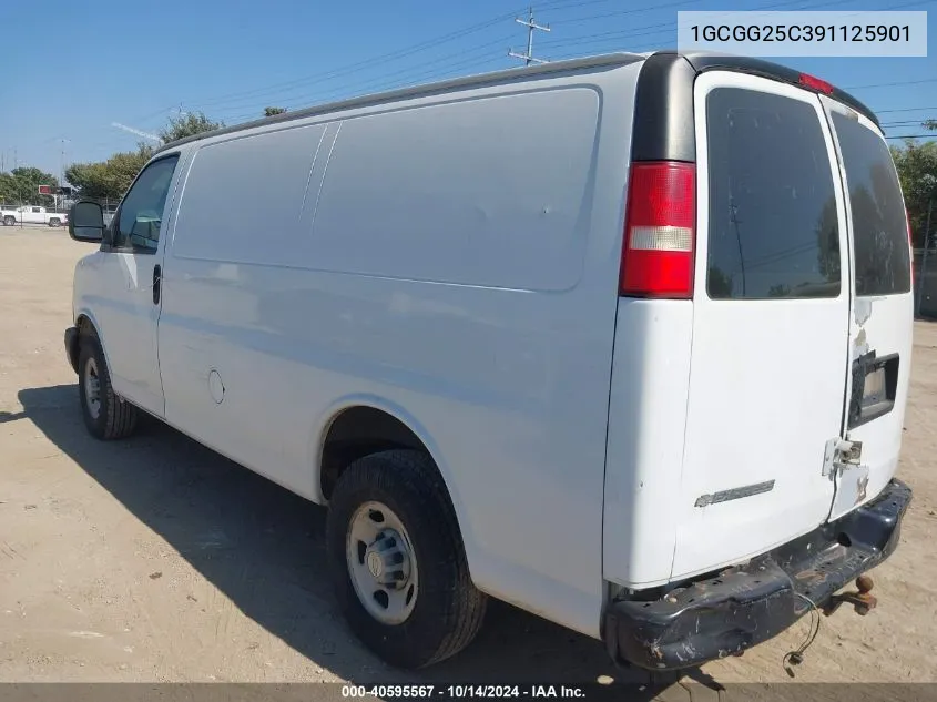 2009 Chevrolet Express 2500 Work Van VIN: 1GCGG25C391125901 Lot: 40595567