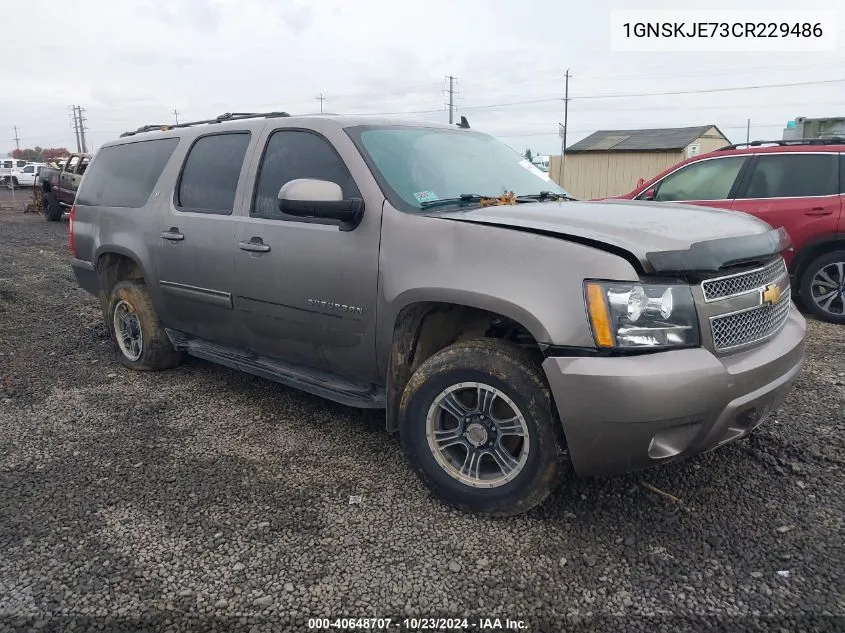 2012 Chevrolet Suburban 1500 Lt VIN: 1GNSKJE73CR229486 Lot: 40648707