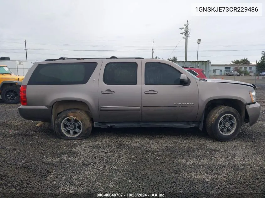 2012 Chevrolet Suburban 1500 Lt VIN: 1GNSKJE73CR229486 Lot: 40648707