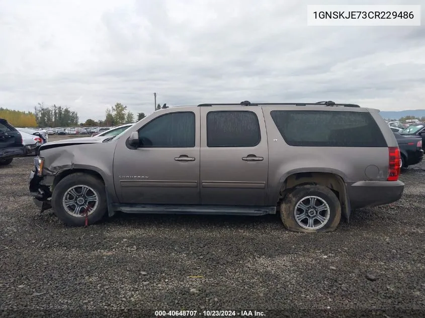 2012 Chevrolet Suburban 1500 Lt VIN: 1GNSKJE73CR229486 Lot: 40648707