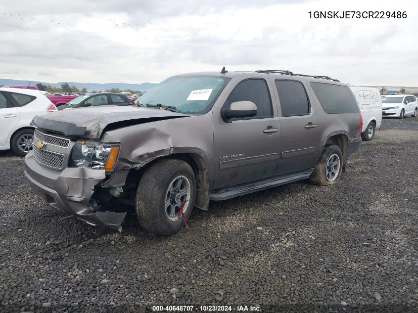 2012 Chevrolet Suburban 1500 Lt VIN: 1GNSKJE73CR229486 Lot: 40648707