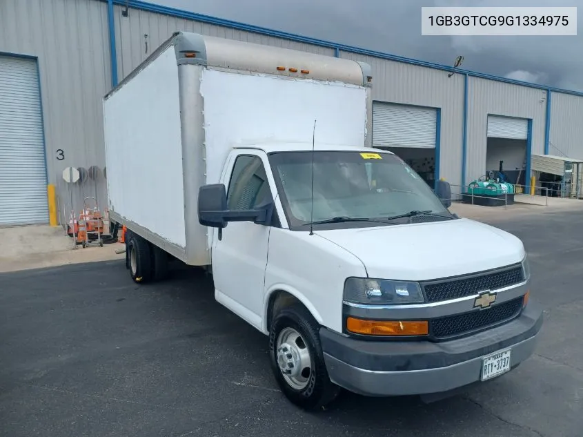 2016 Chevrolet Express G3500 VIN: 1GB3GTCG9G1334975 Lot: 40536328