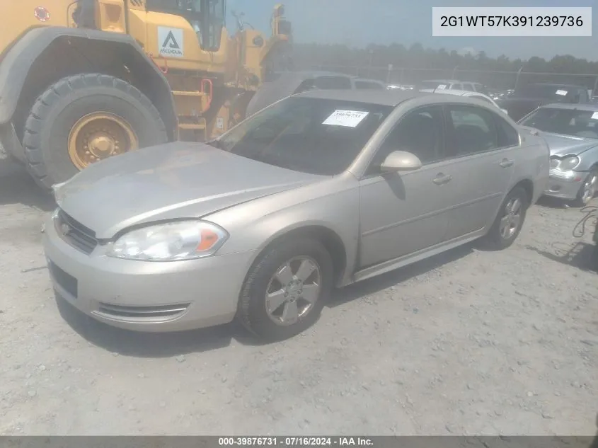 2G1WT57K391239736 2009 Chevrolet Impala Lt