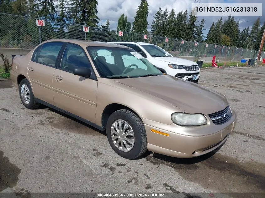 2001 Chevrolet Malibu VIN: 1G1ND52J516231318 Lot: 40463954