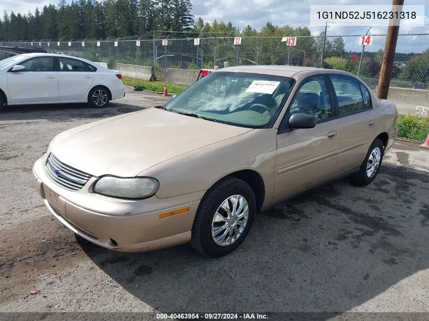 2001 Chevrolet Malibu VIN: 1G1ND52J516231318 Lot: 40463954