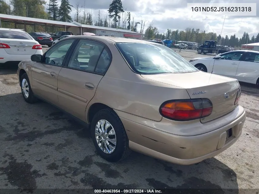 2001 Chevrolet Malibu VIN: 1G1ND52J516231318 Lot: 40463954