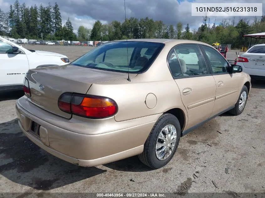 2001 Chevrolet Malibu VIN: 1G1ND52J516231318 Lot: 40463954