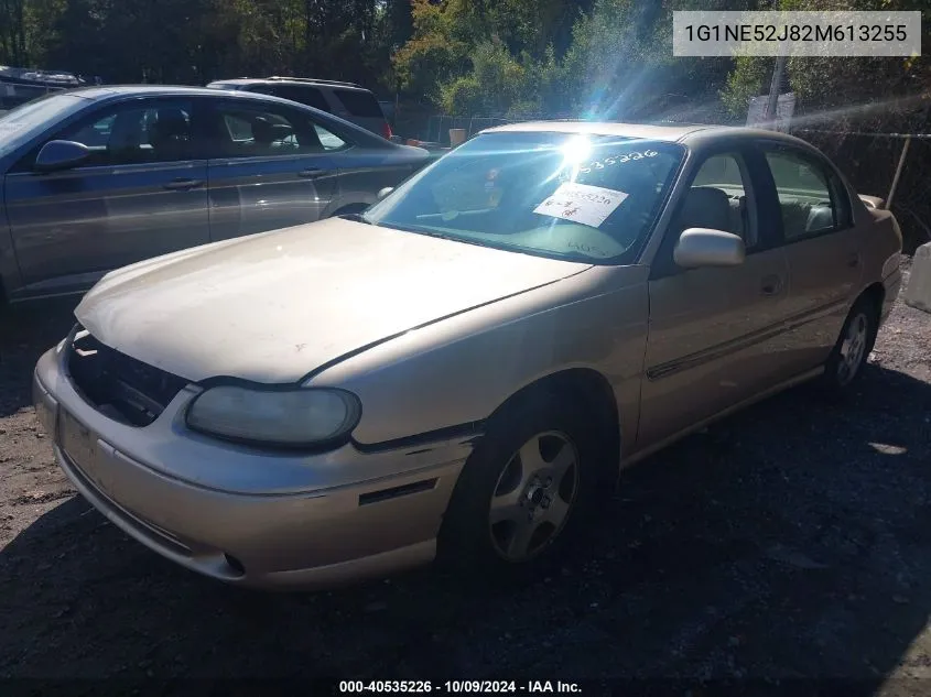 2002 Chevrolet Malibu Ls VIN: 1G1NE52J82M613255 Lot: 40535226