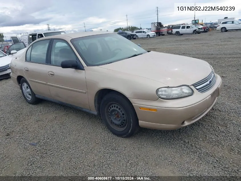 2002 Chevrolet Malibu VIN: 1G1ND52J22M540239 Lot: 40608677