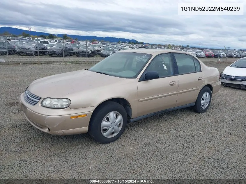 2002 Chevrolet Malibu VIN: 1G1ND52J22M540239 Lot: 40608677