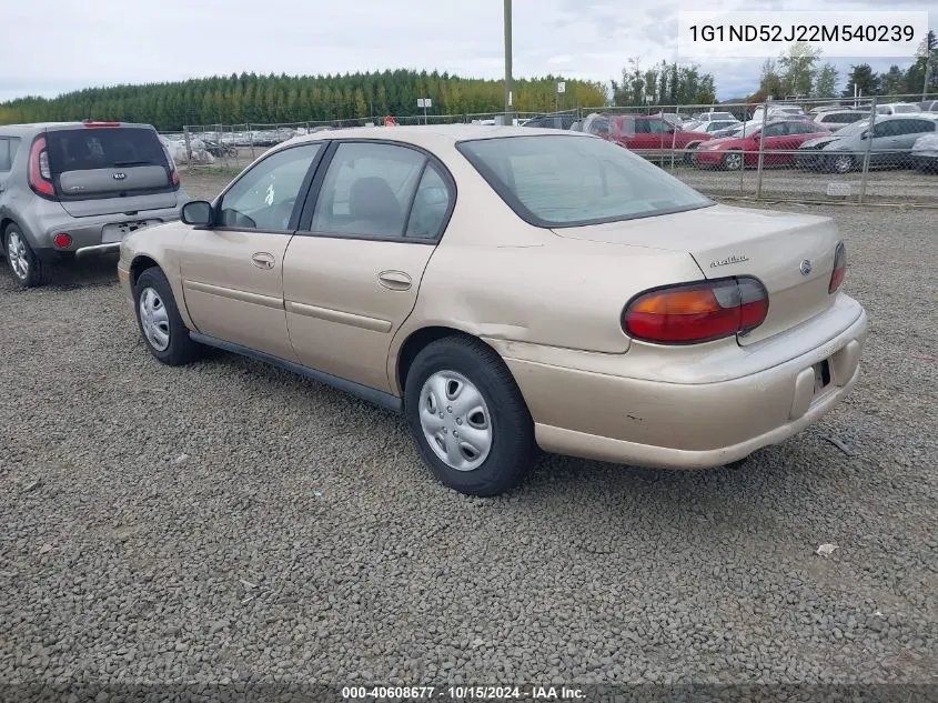 2002 Chevrolet Malibu VIN: 1G1ND52J22M540239 Lot: 40608677