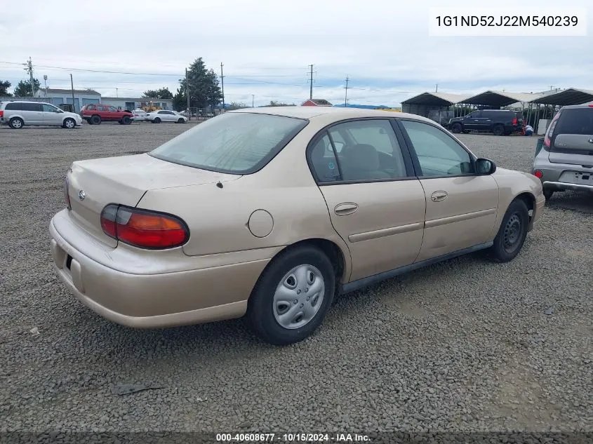 2002 Chevrolet Malibu VIN: 1G1ND52J22M540239 Lot: 40608677