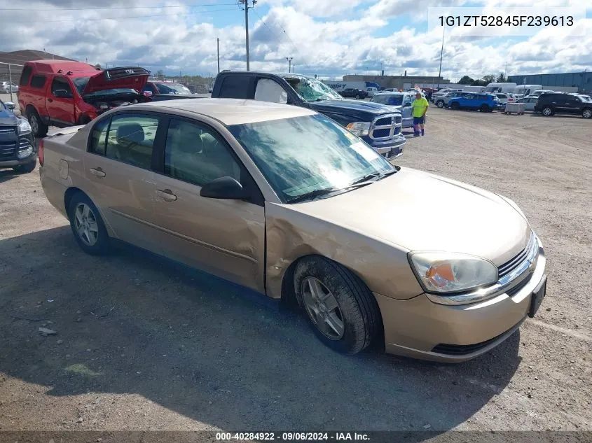 2005 Chevrolet Malibu Ls VIN: 1G1ZT52845F239613 Lot: 40284922