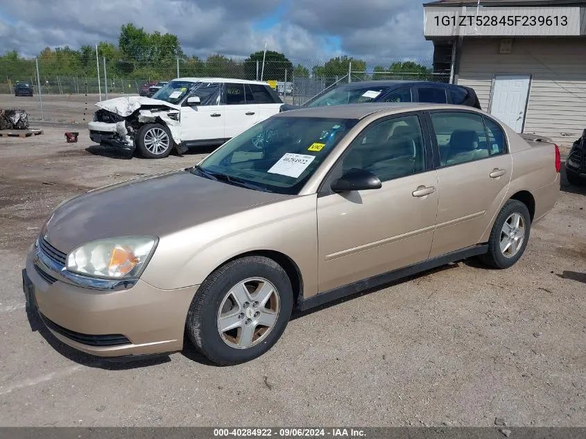 2005 Chevrolet Malibu Ls VIN: 1G1ZT52845F239613 Lot: 40284922