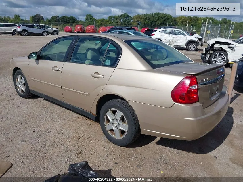 2005 Chevrolet Malibu Ls VIN: 1G1ZT52845F239613 Lot: 40284922