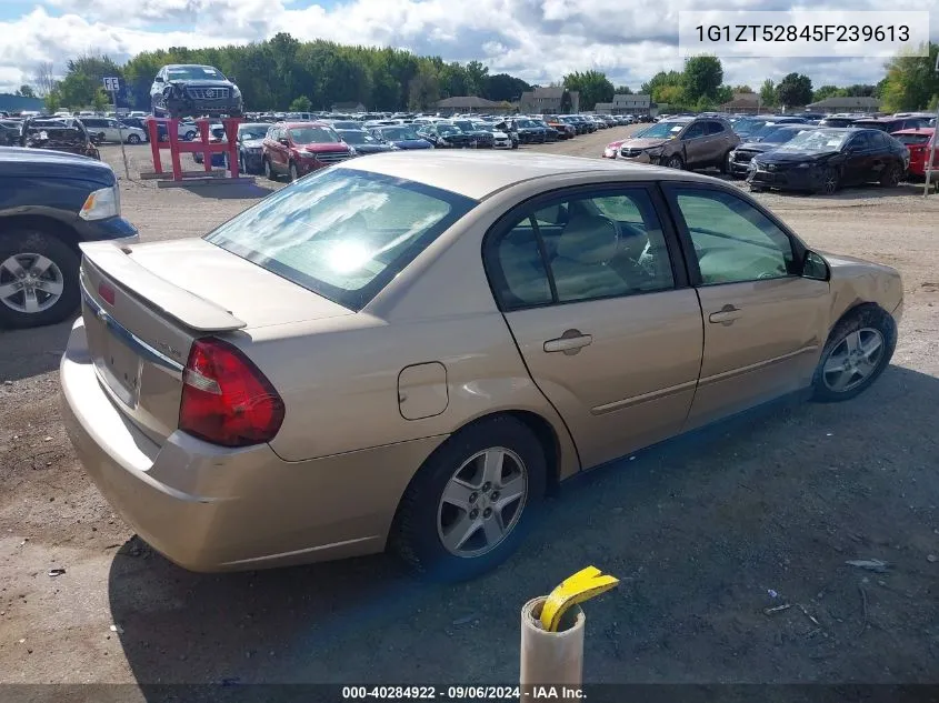 2005 Chevrolet Malibu Ls VIN: 1G1ZT52845F239613 Lot: 40284922