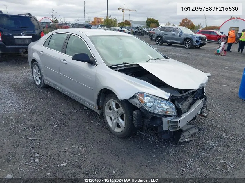 2009 Chevrolet Malibu VIN: 1G1ZG57B89F216530 Lot: 12126493