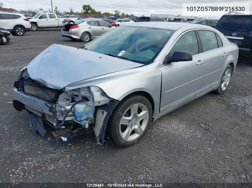 2009 Chevrolet Malibu VIN: 1G1ZG57B89F216530 Lot: 12126493