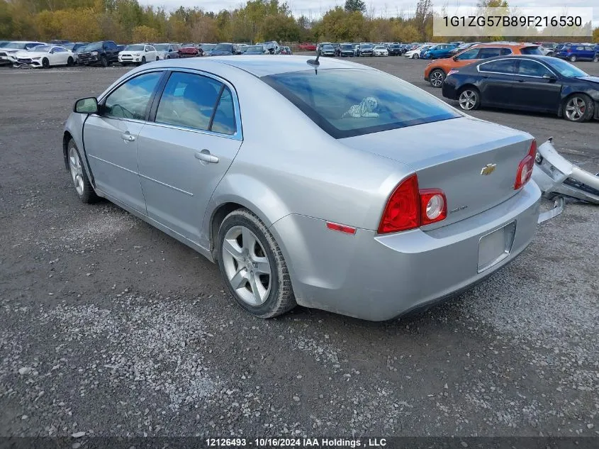 2009 Chevrolet Malibu VIN: 1G1ZG57B89F216530 Lot: 12126493