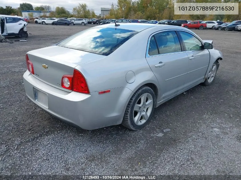 2009 Chevrolet Malibu VIN: 1G1ZG57B89F216530 Lot: 12126493