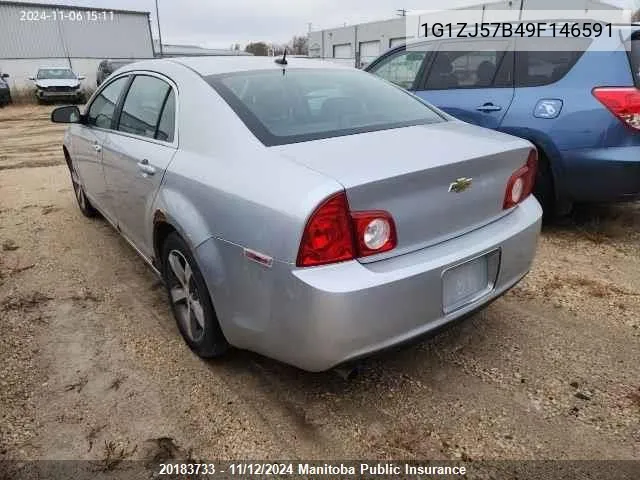 2009 Chevrolet Malibu Lt VIN: 1G1ZJ57B49F146591 Lot: 20183733