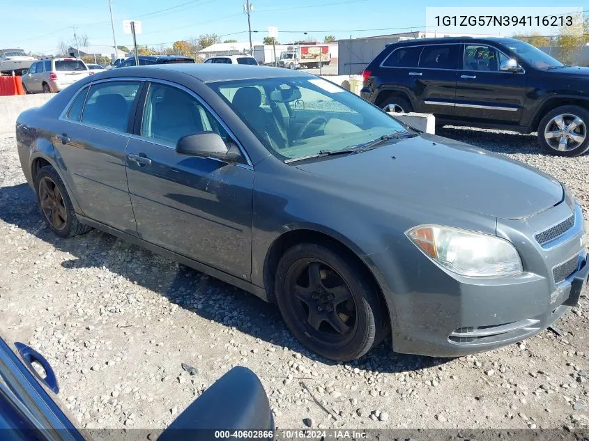 2009 Chevrolet Malibu Ls VIN: 1G1ZG57N394116213 Lot: 40602866