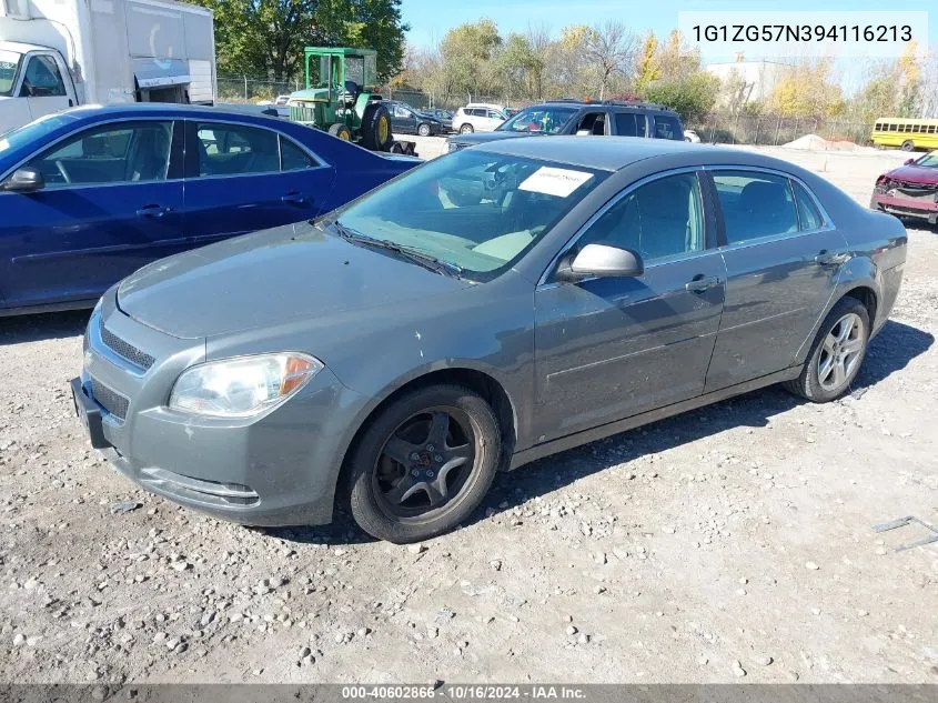 2009 Chevrolet Malibu Ls VIN: 1G1ZG57N394116213 Lot: 40602866