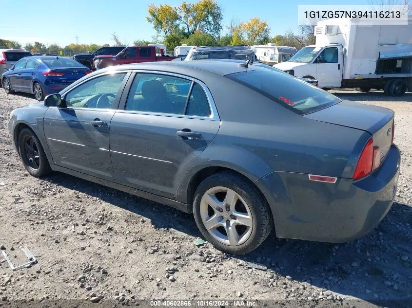 2009 Chevrolet Malibu Ls VIN: 1G1ZG57N394116213 Lot: 40602866