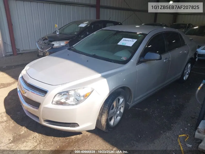 2010 Chevrolet Malibu Ls VIN: 1G1ZB5EB7AF207825 Lot: 40666539