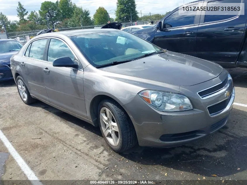 1G1ZA5EU2BF318563 2011 Chevrolet Malibu Ls