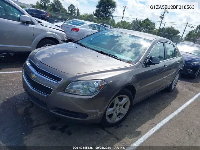 1G1ZA5EU2BF318563 2011 Chevrolet Malibu Ls