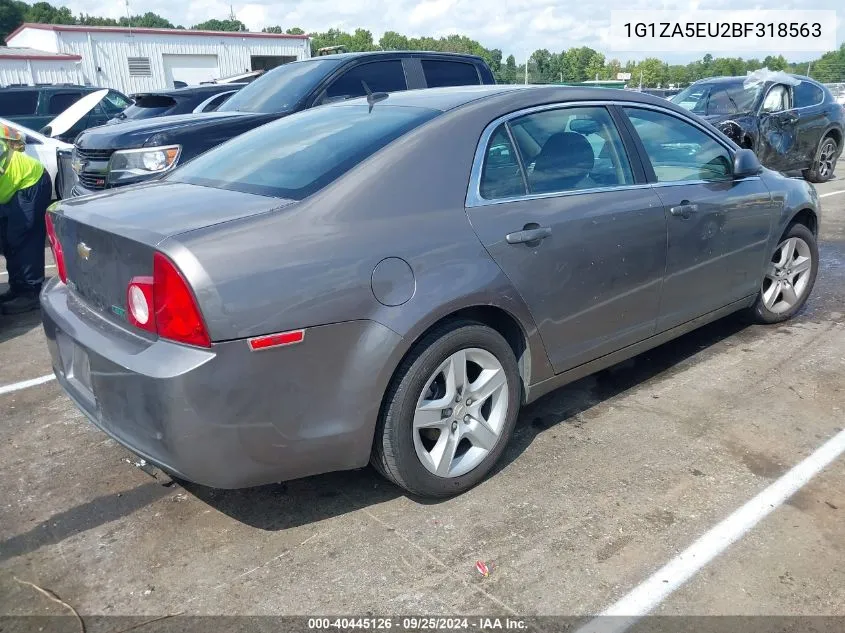 1G1ZA5EU2BF318563 2011 Chevrolet Malibu Ls