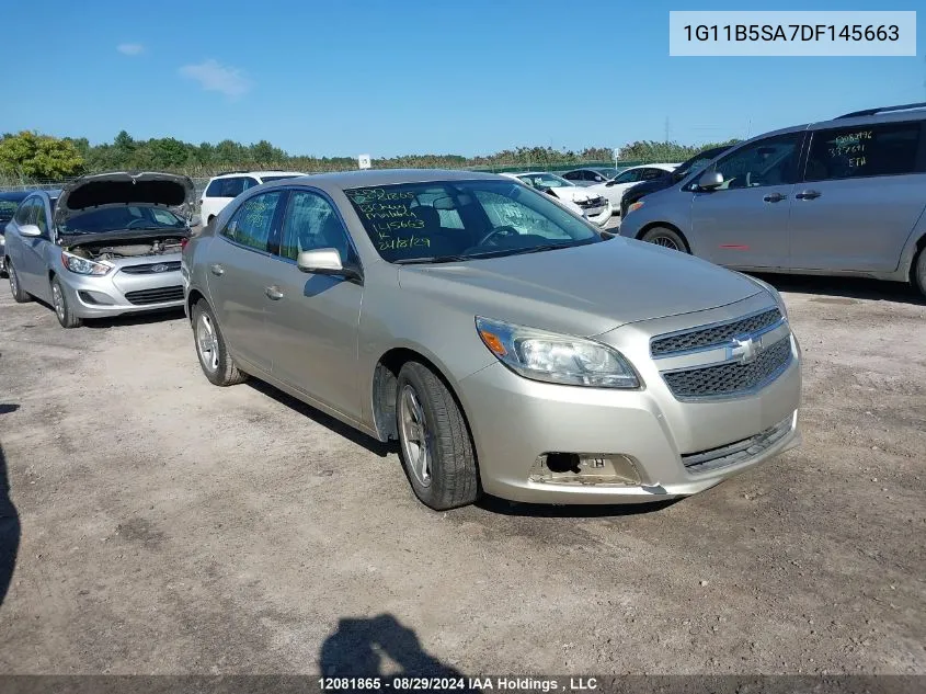 1G11B5SA7DF145663 2013 Chevrolet Malibu