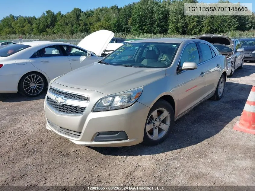 1G11B5SA7DF145663 2013 Chevrolet Malibu